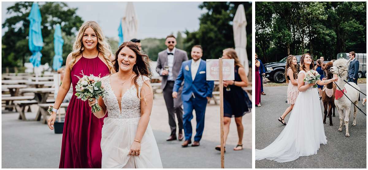 Hochzeitsfotograf Bochum Sommerhochzeit Corona draussen freie Trauung Kemnader See Seeblick Bochum Brautpaarshooting Alpakas Alpakashooting