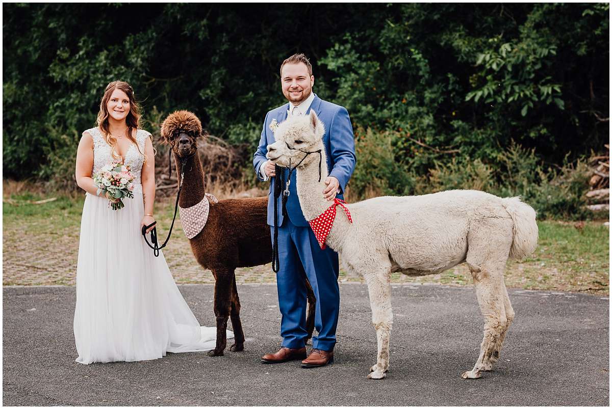 Hochzeitsfotograf Bochum Sommerhochzeit Corona draussen freie Trauung Kemnader See Seeblick Bochum Brautpaarshooting Alpakas Alpakashooting