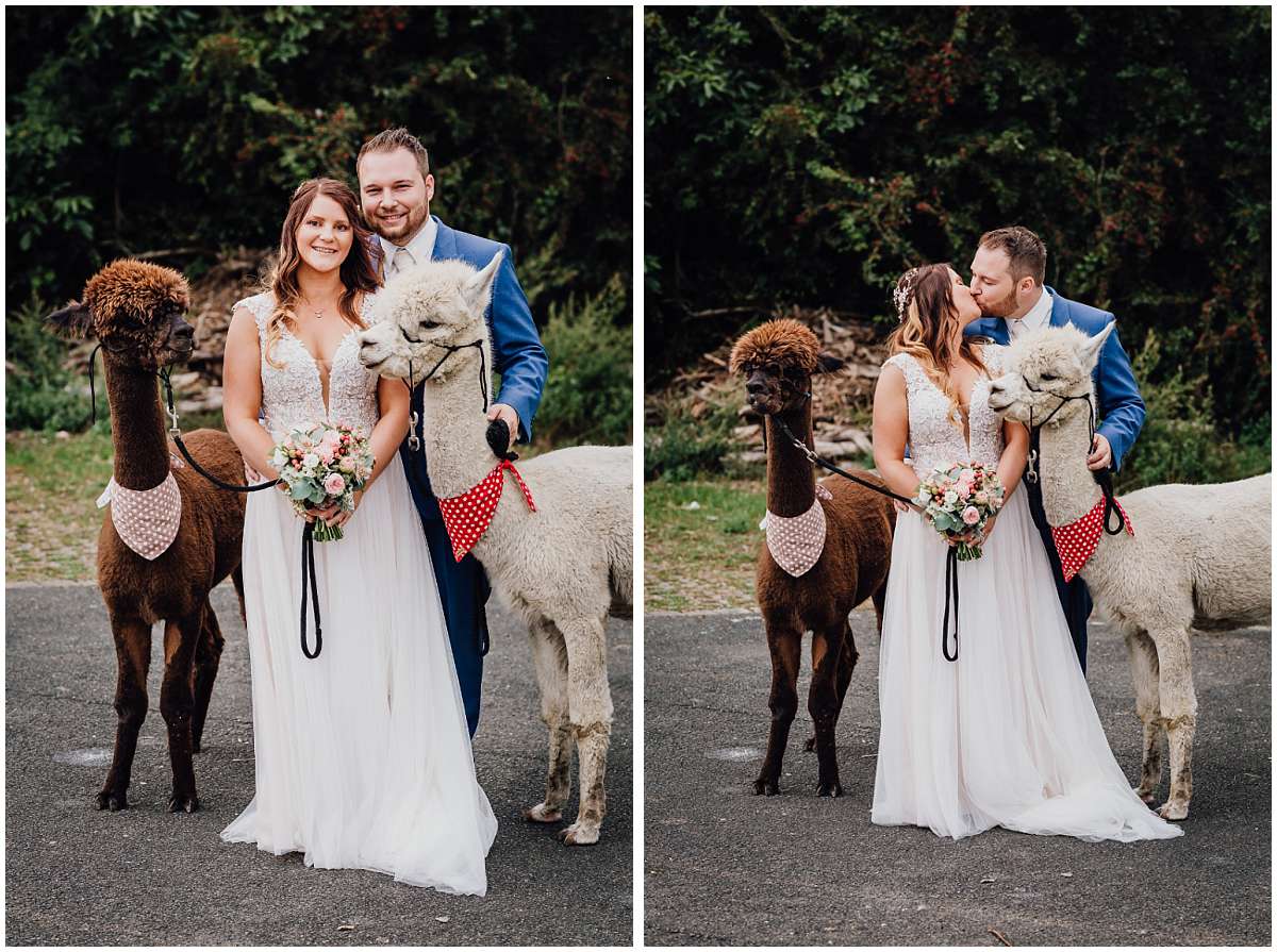 Hochzeitsfotograf Bochum Sommerhochzeit Corona draussen freie Trauung Kemnader See Seeblick Bochum Brautpaarshooting Alpakas Alpakashooting