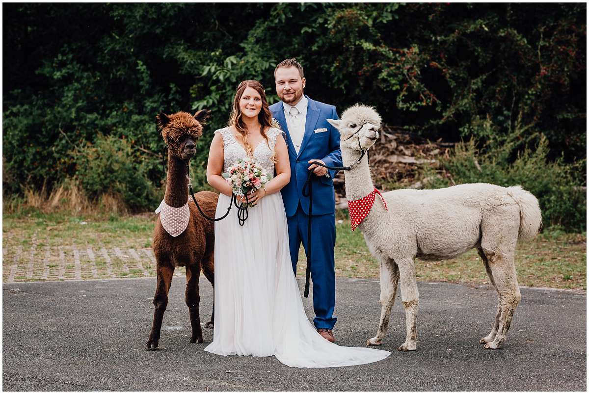 Hochzeitsfotograf Bochum Sommerhochzeit Corona draussen freie Trauung Kemnader See Seeblick Bochum Brautpaarshooting Alpakas Alpakashooting