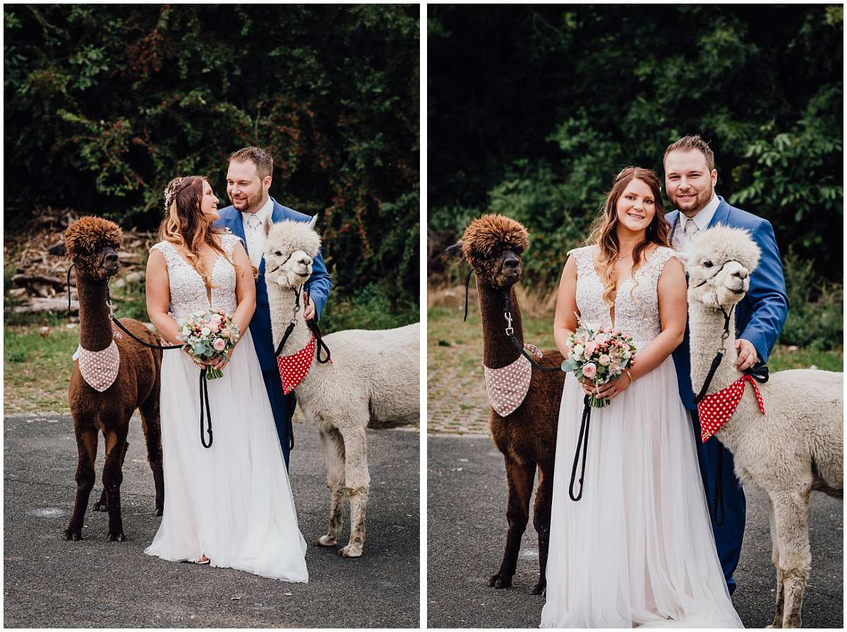 Hochzeitsfotograf Bochum Sommerhochzeit Corona draussen freie Trauung Kemnader See Seeblick Bochum Brautpaarshooting Alpakas Alpakashooting