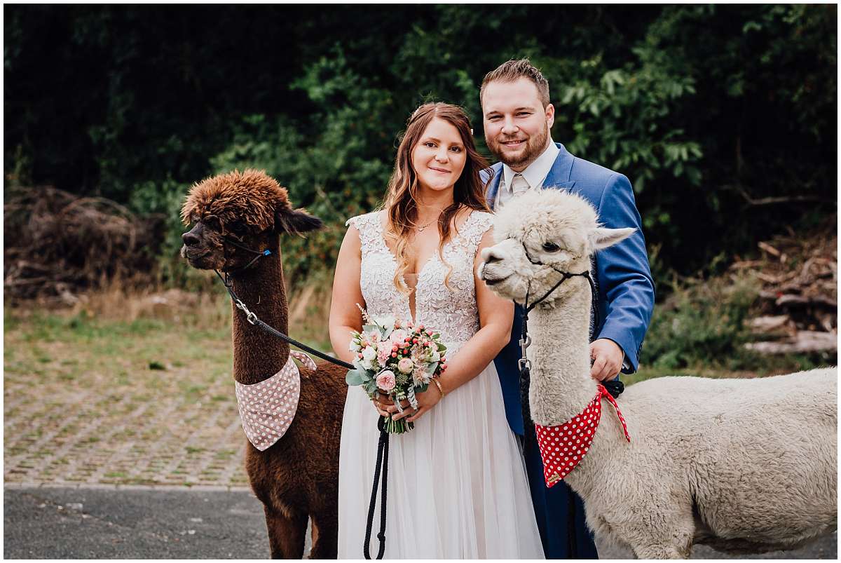 Hochzeitsfotograf Bochum Sommerhochzeit Corona draussen freie Trauung Kemnader See Seeblick Bochum Brautpaarshooting Alpakas Alpakashooting