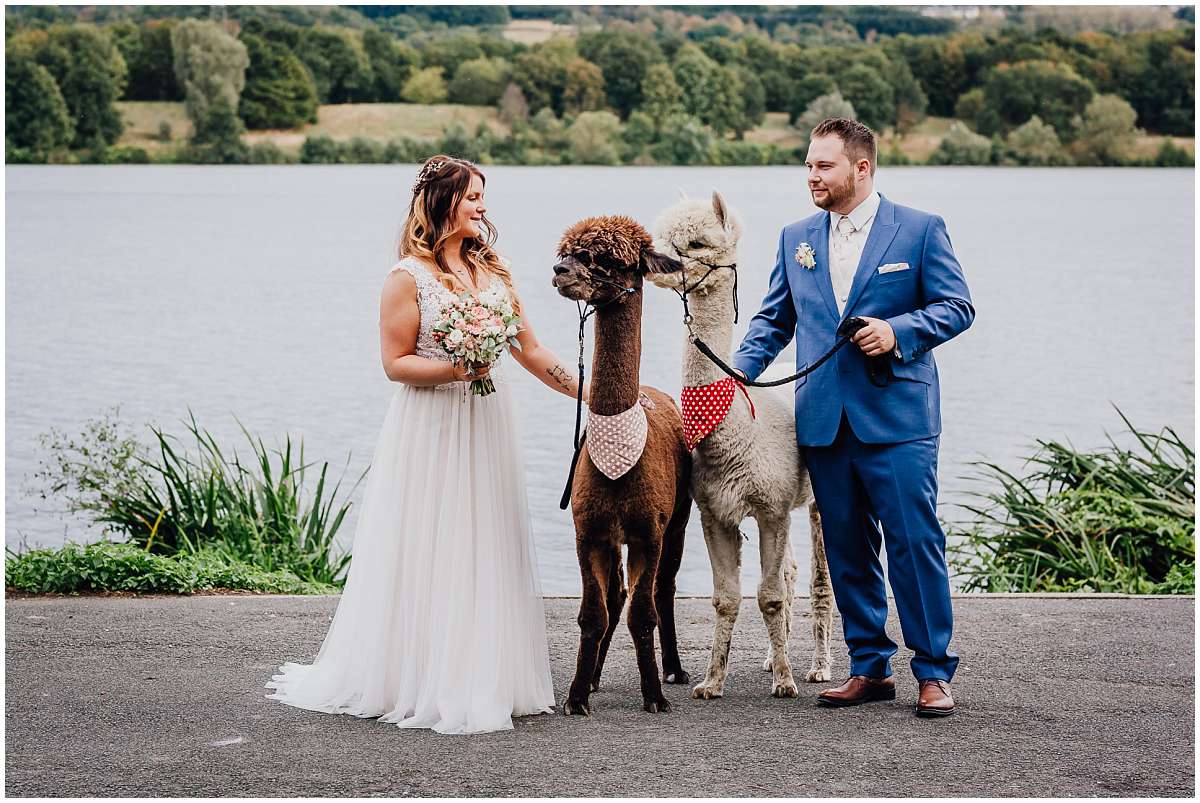 Hochzeitsfotograf Bochum Sommerhochzeit Corona draussen freie Trauung Kemnader See Seeblick Bochum Brautpaarshooting Alpakas Alpakashooting