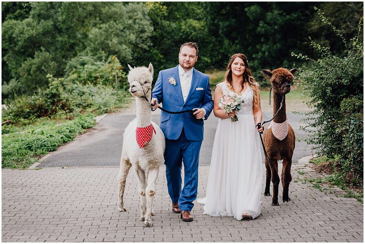 Hochzeitsfotograf Bochum Sommerhochzeit Corona draussen freie Trauung Kemnader See Seeblick Bochum Brautpaarshooting Alpakas Alpakashooting