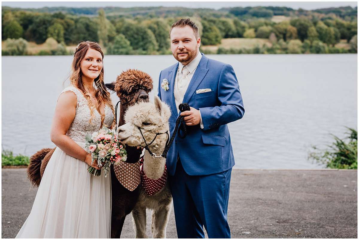 Hochzeitsfotograf Bochum Sommerhochzeit Corona draussen freie Trauung Kemnader See Seeblick Bochum Brautpaarshooting Alpakas Alpakashooting