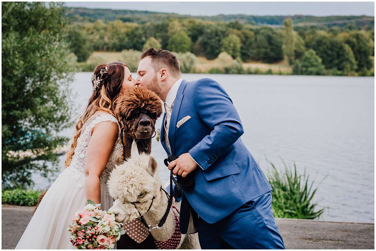 Hochzeitsfotograf Bochum Sommerhochzeit Corona draussen freie Trauung Kemnader See Seeblick Bochum Brautpaarshooting Alpakas Alpakashooting