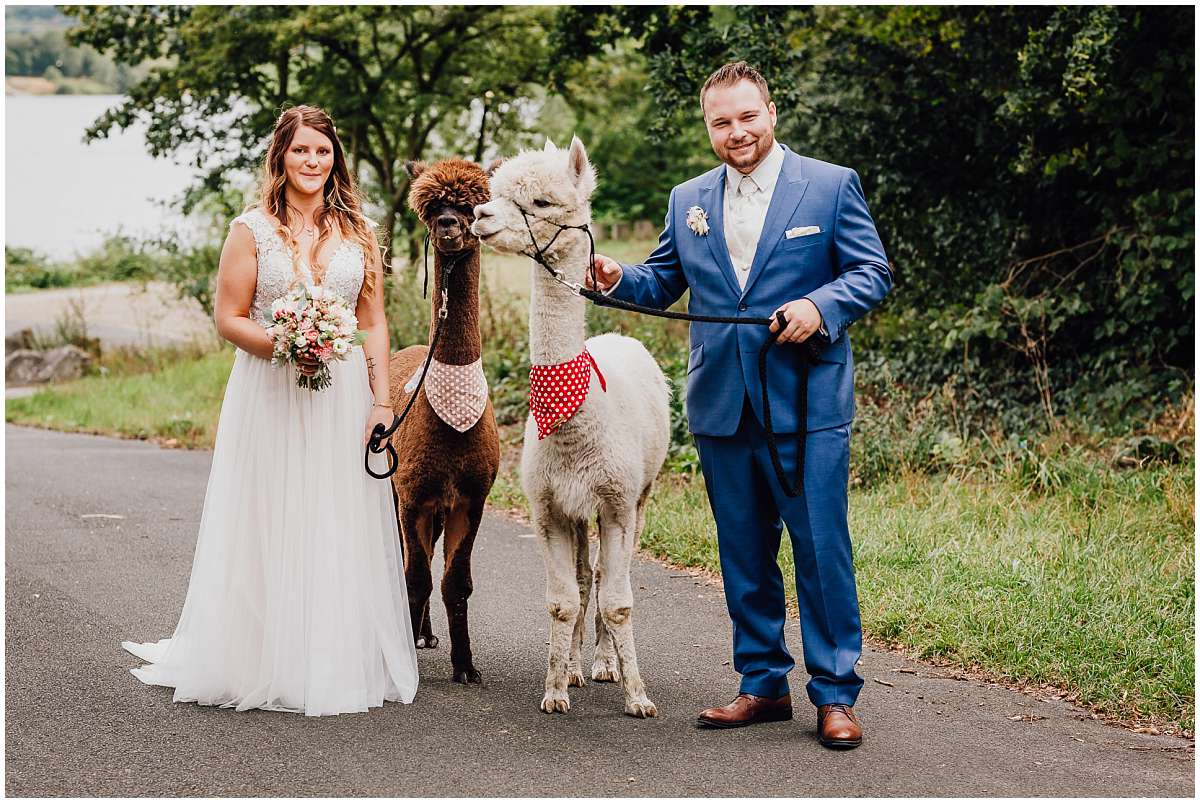 Hochzeitsfotograf Bochum Sommerhochzeit Corona draussen freie Trauung Kemnader See Seeblick Bochum Brautpaarshooting Alpakas Alpakashooting